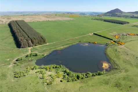 Lot 1 - Longleefoot