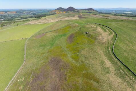 Lot 2 - Cauldshiels
