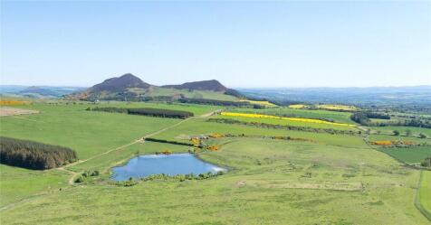Lot 1 - Longleefoot