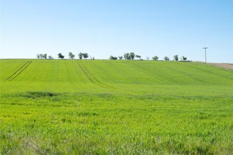 Lot 1 - Longleefoot
