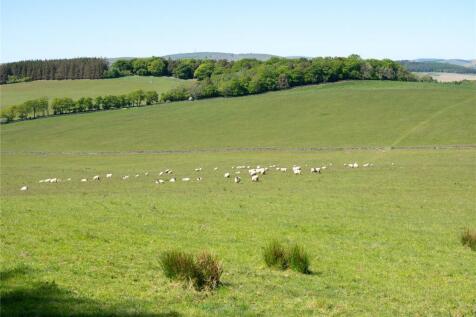 Lot 2 - Cauldshiels