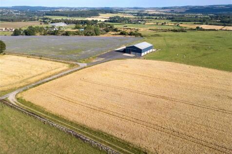 Land Lot 1