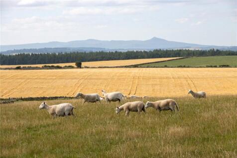 Pasture