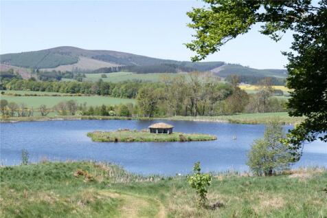Pond
