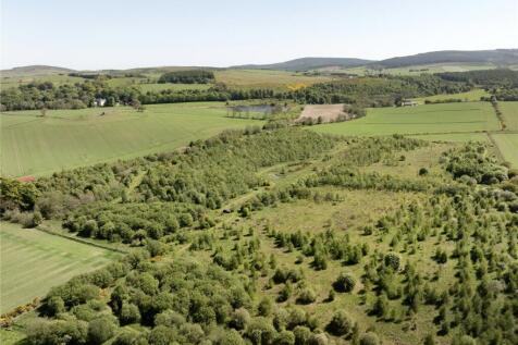 Woodland