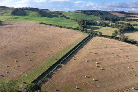 Fields 5 &amp; 6