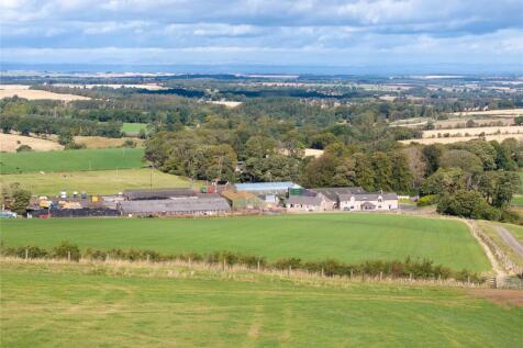 Fields 18 &amp; 13