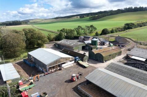 Yard and Buildings