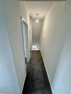 IMG_7280.JPEG