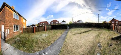 IMG_0776.JPEG