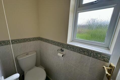 IMG 2984 T202507282242.jpeg