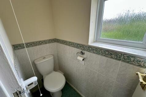 IMG 2983 T202507282242.jpeg