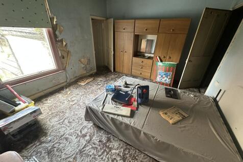 IMG 3509 T202509051354.jpeg