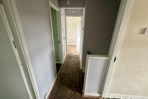 IMG 3021 T202507301131.jpeg