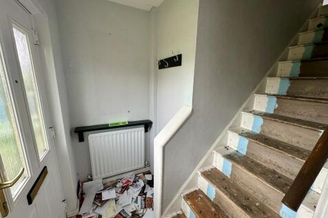 IMG 3013 T202507301131.jpeg