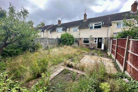 IMG 3026 T202507301131.jpeg