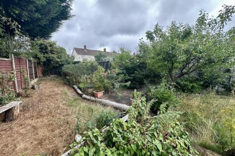 IMG 3027 T202507301131.jpeg