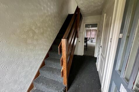 IMG 3773 T202510101356.jpeg