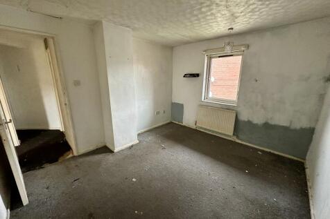 IMG 3788 T202510101356.jpeg