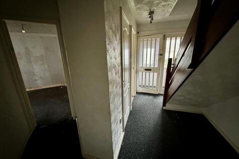 IMG 3777 T202510101356.jpeg