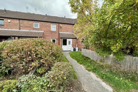 IMG 3771 T202510101356.jpeg