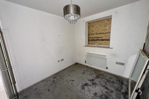 IMG 3997 T202510241818.jpeg