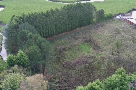 IMG 4059 T202510291306.jpg