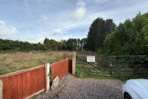 IMG 4064 T202510291306.jpg