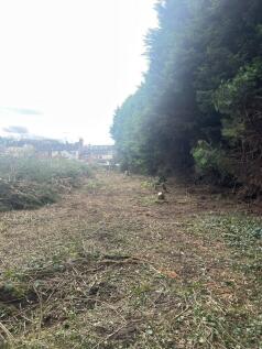 IMG 4069 T202510291306.jpg