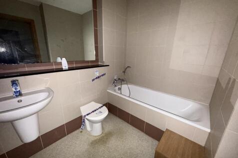 IMG 1165 T202510292048.jpeg