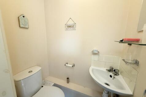 IMG 4991 T202510222144.jpeg