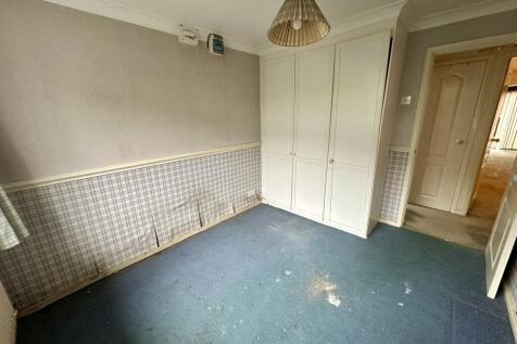 IMG 3853 T202510141250.jpeg