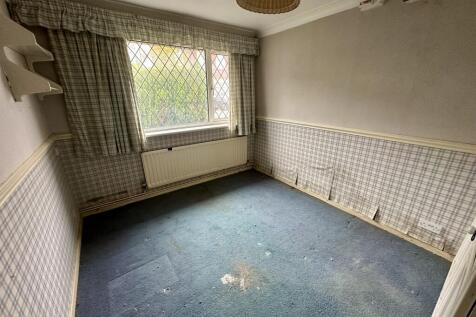 IMG 3852 T202510141250.jpeg