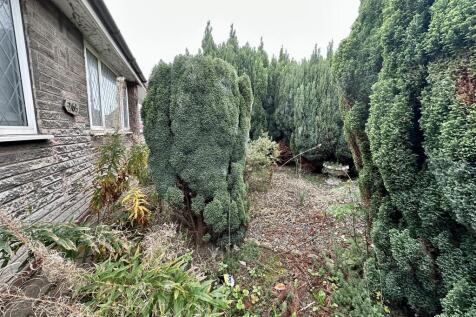 IMG 3846 T202510141250.jpeg