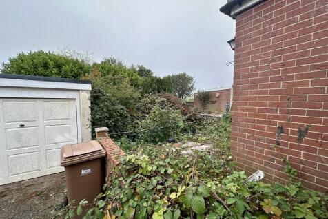 IMG 3844 T202510141250.jpeg