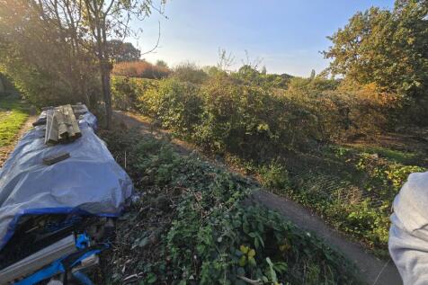 1000318892 T202511101020.jpg