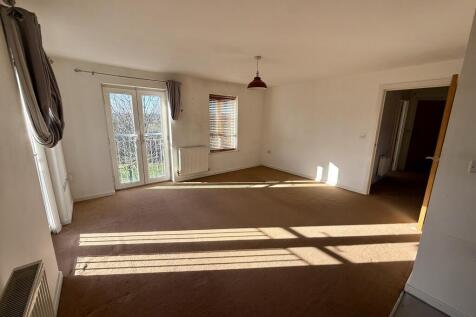 IMG 3081 T202511171447.jpeg