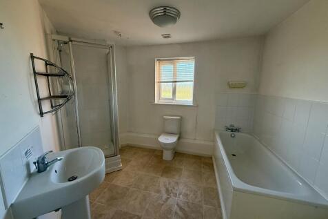 IMG 3075 T202511171447.jpeg