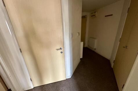 IMG 3171 T202508061252.jpeg