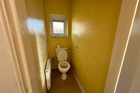 IMG 4247 T202511290936.jpeg