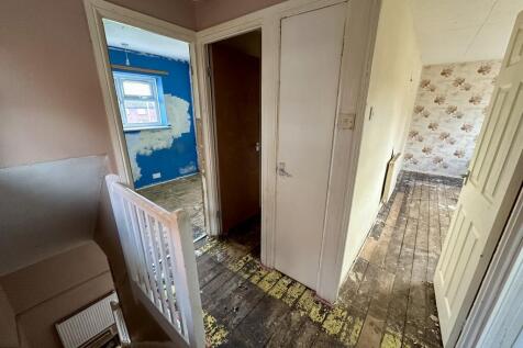 IMG 4359 T202511271814.jpeg