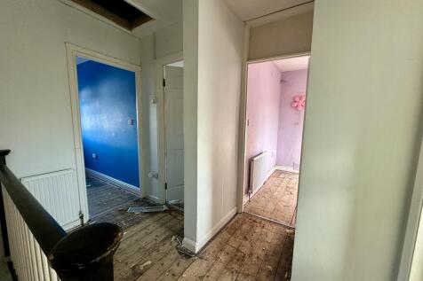 IMG 4220 T202511271742.jpeg