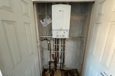 IMG 4226 T202511271742.jpeg