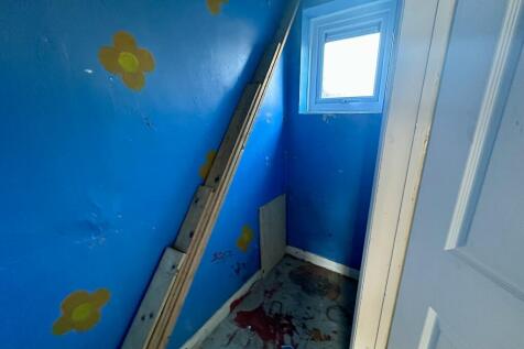 IMG 4232 T202511232255.jpeg