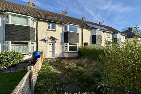 IMG 4253 T202511290956.jpeg