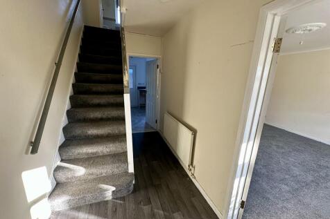 IMG 4255 T202511290956.jpeg