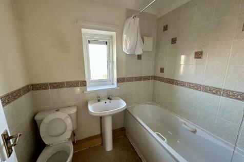 IMG 4263 T202511290956.jpeg