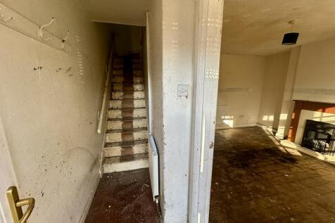 IMG 4198 T202511291136.jpeg