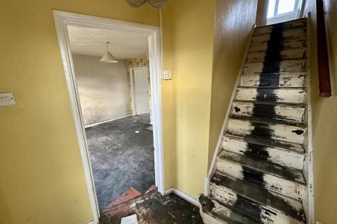 IMG 4316 T202511291223.jpeg