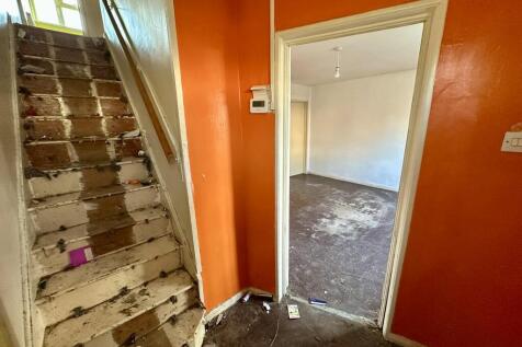 IMG 4382 T202511291229.jpeg